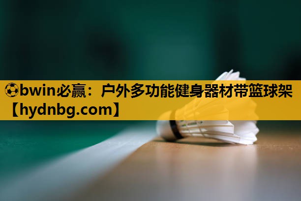 ⚽bwin必赢：户外多功能健身器材带篮球架