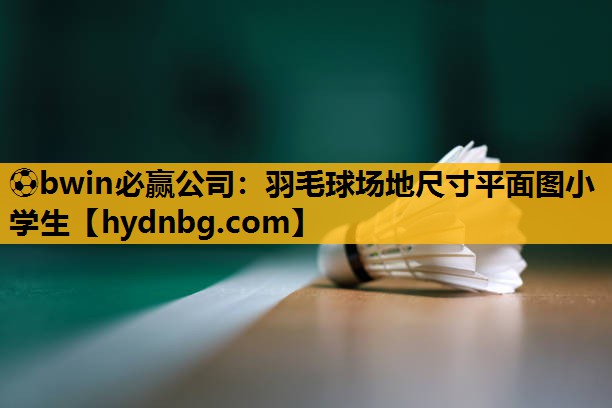 ⚽bwin必赢公司：羽毛球场地尺寸平面图小学生